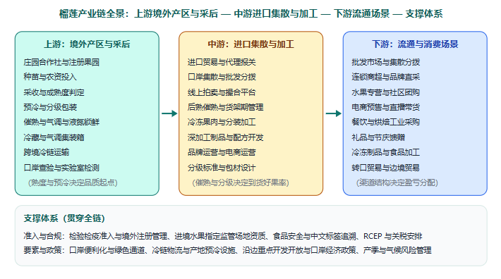 五、产业链全景图示：从境外产区到国内消费场景
