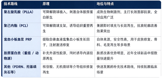 再生类注射剂按照技术与材料路线，可以分为聚左旋乳酸（PLLA）、聚己内酯（PCL）、富血小板血浆 PRP、重组 / 动物源胶原蛋白、PDRN 多核苷酸及其他新兴路线。