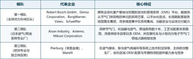 全球电子控制节气门体市场呈现高度集中的竞争结构，头部数家供应商合计占据约八成份额，呈现资本密集、客户绑定强、认证壁垒高的特点。按技术与市场定位，可将主要厂商划分为三个梯队；本报告收录的十家代表性企业覆盖德国、日本、美国、意大利与法国，基本勾勒出全球供给版图。