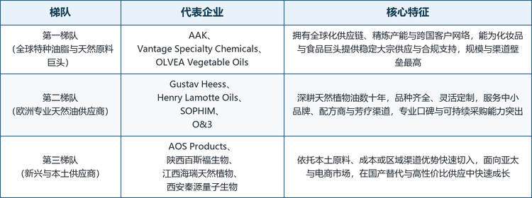 全球葡萄籽载油市场集中度中等，头部厂商多为深耕天然油脂数十年的欧洲专业油商或全球特种油脂巨头，竞争格局呈现明显的梯队化与区域化特征。欧洲企业凭借葡萄酒产区邻近、天然油脂工业底蕴与品牌认知占据技术与渠道高地，全球原料巨头则以规模与跨国网络服务大型客户，中国及南亚新兴供应商依托本土原料或成本优势快速切入。按技术与市场定位，可将主要厂商划分为三个梯队。