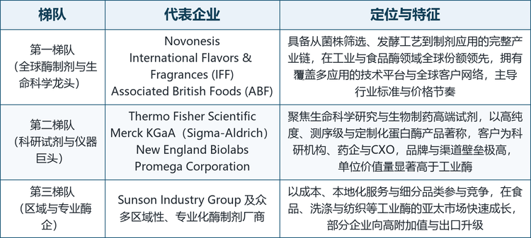 全球丝氨酸蛋白酶市场集中度整体较高，且呈现“跨国巨头主导高端、专业试剂厂商占据科研细分、新兴区域厂商快速追赶”的格局。在高端治疗与诊断酶、生物制药工艺酶及科研试剂领域，少数具备完整发酵与纯化平台、全球注册与渠道能力的跨国企业占据主导；在食品、洗涤与纺织等工业酶领域，则呈现跨国巨头与区域性专业厂商并存、价格竞争更充分的局面。按市场地位与技术定位，可将主要厂商划分为三个梯队。