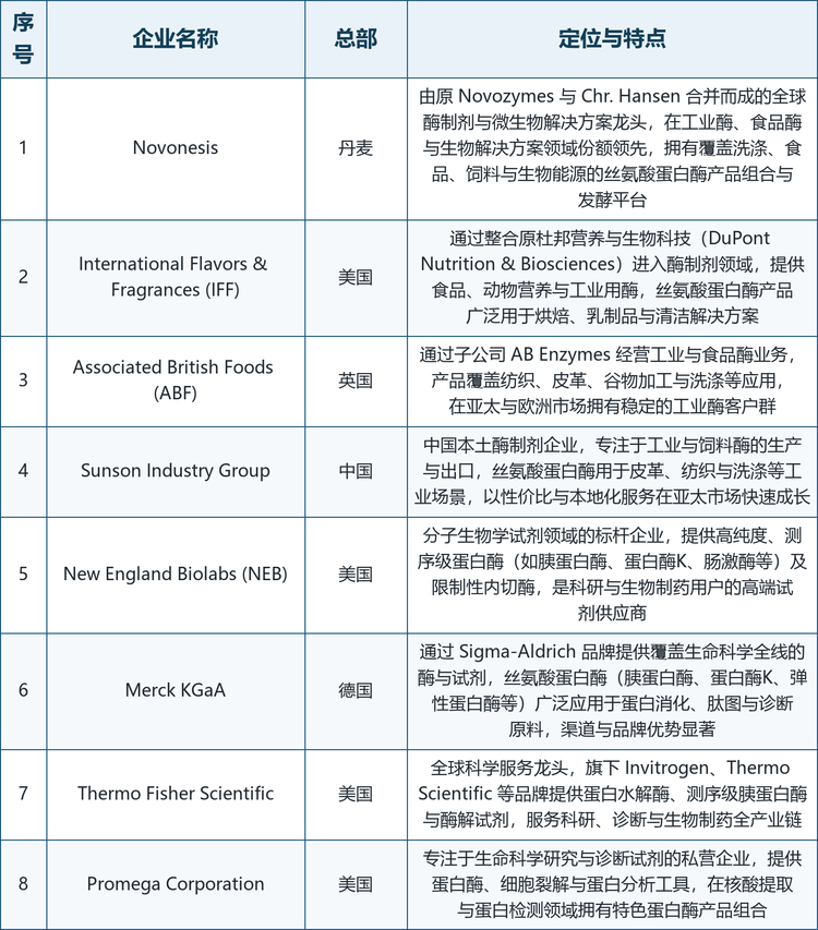 龙头企业概览。 全球范围内具备代表性的厂商包括：Novonesis（由原 Novozymes 与 Chr. Hansen 合并而成的全球酶制剂与微生物解决方案龙头）、International Flavors & Fragrances（IFF，通过整合原杜邦营养与生物科技进入酶制剂领域）、Associated British Foods（ABF，通过子公司 AB Enzymes 经营工业与食品酶）、Thermo Fisher Scientific（全球科学服务龙头，提供测序级胰蛋白酶等蛋白水解酶）、Merck KGaA（通过 Sigma-Aldrich 品牌提供覆盖生命科学全线的酶与试剂）、New England Biolabs（分子生物学试剂标杆，提供高纯度测序级蛋白酶）、Promega Corporation（专注生命科学研究与诊断试剂的私营企业）以及中国本土的 Sunson Industry Group 等工业酶制造商，分别在高附加值与工业级市场形成差异化布局。