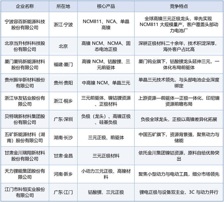 从企业图谱看，第一梯队以容百科技、当升科技、厦钨新能为代表，已实现高镍产品规模化出海；第二梯队依托一体化与资源背景快速放量；第三梯队则在细分市场与区域市场中差异化竞争。以下为十家核心企业的画像一览。