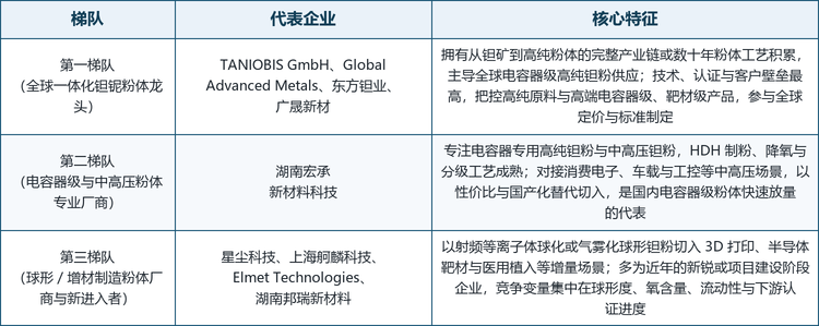 全球高纯低氧钽粉市场集中度高，具有钽矿资源或数十年粉体工艺积累的龙头企业主导高端供应，中国厂商则凭借产业链配套与工艺突破快速追赶。按技术与市场定位，可将主要厂商划分为三个梯队。