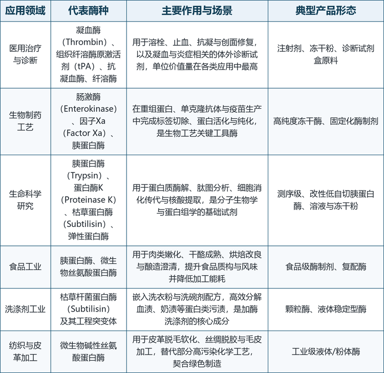 按最终用途与酶学特性，丝氨酸蛋白酶可归为医用治疗与诊断、生物制药工艺、生命科学研究、食品工业、洗涤剂工业与纺织皮革加工六大应用方向。六类场景对酶的纯度、比活与合规要求逐级分化：从科研与药用的微克级高纯、测序级，到工业级的大吨位、耐温耐碱，形成差异显著的产品梯度与价格体系。