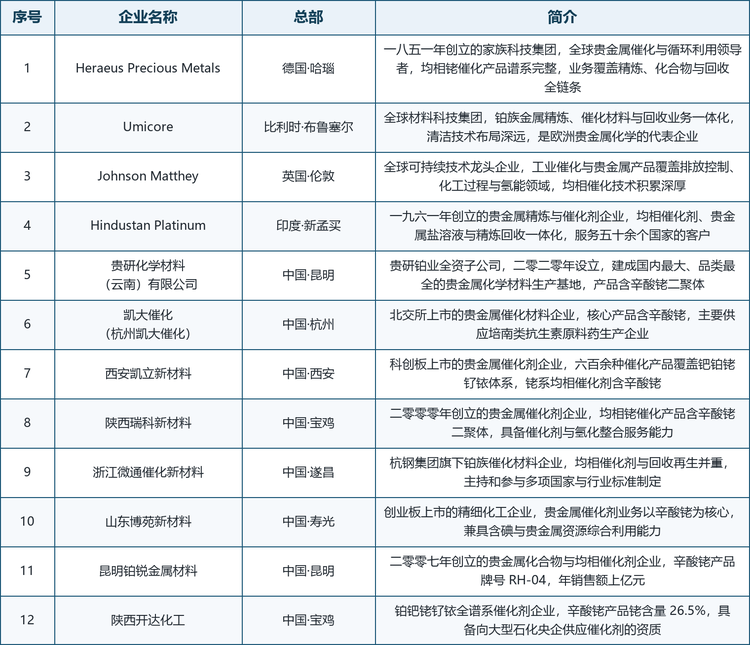 表注：梯队按企业业务结构、产品谱系与市场定位划分，排名不代表实力排序；未列出的区域性厂商同样参与市场竞争。