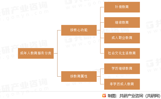 成年人教育服务分类