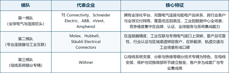 全球母线连接器市场呈现“巨头主导、专家并存”的格局，头部厂商多为深耕数十年的全球化电气与连接集团，同时分布着在母线系统、绝缘与分断等细分上技术专精的中小厂商。按技术与市场定位，可将主要厂商划分为三个梯队。