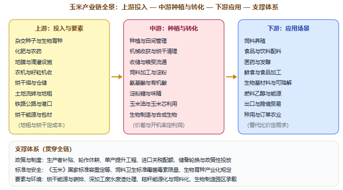 五、产业链全景图示：从种子与地租到饲料与生物基材料
