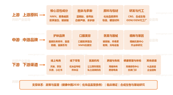 中国抗衰老行业产业链示意图