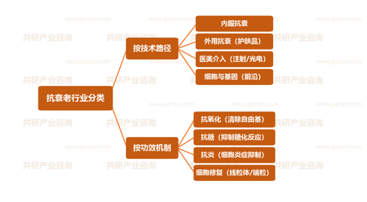 抗衰老行业分类