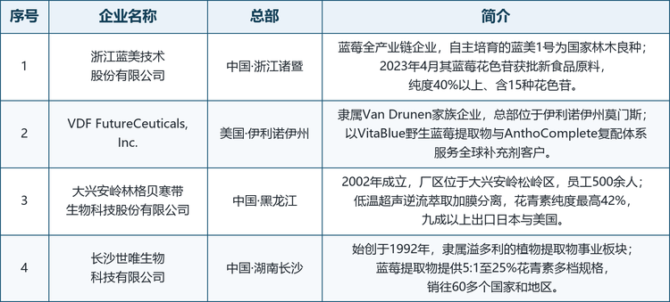 注：梯队按企业业务结构、合规资质与产品定位划分，用于展示竞争结构，不代表企业综合实力排序，也不构成对任何企业市场地位的认定。