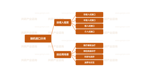 脑机接口分类