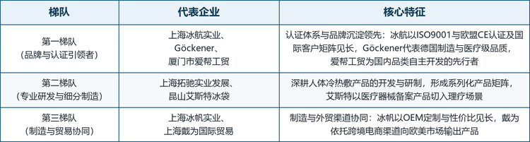 全球相变暖手宝市场参与者以专业冷热敷产品制造商与贸易型企业为主，整体呈三级梯队分布：第一梯队为品牌与认证体系领先的制造商，第二梯队为专业研发与细分制造力量，第三梯队为制造与贸易协同型企业，如表 3 所示。