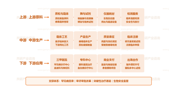 中国基因疗法行业产业链示意图