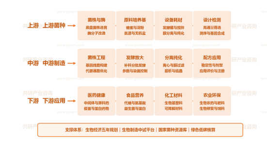 中国合成生物学行业产业链示意图