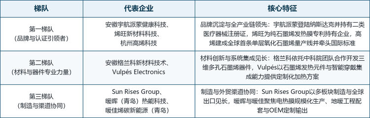 全球石墨烯发热垫市场参与者包括材料科技企业、智能穿戴方案商与电热制造贸易企业，整体呈三级梯队分布：第一梯队为品牌与认证体系领先的石墨烯热管理企业，第二梯队为材料与器件专业力量，第三梯队为制造与渠道协同型企业，如表 3 所示。