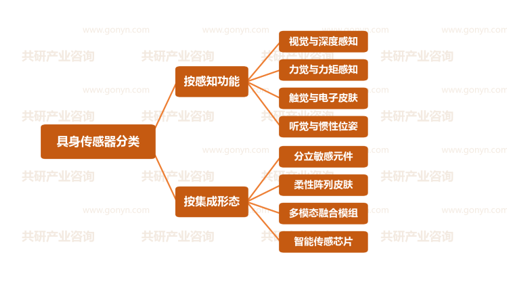 具身传感器行业分类