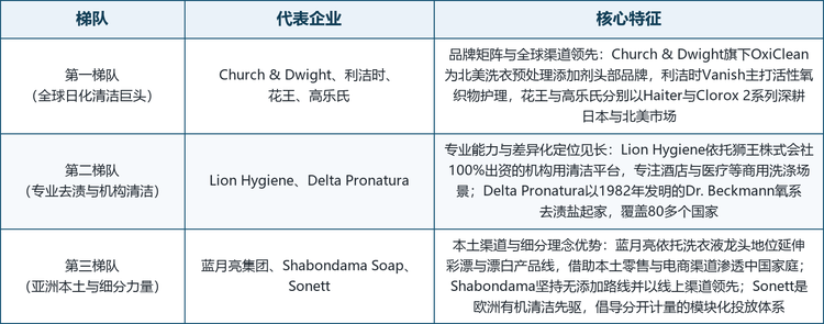 全球氧系清洁粉市场参与者包括综合日化巨头、织物与家居清洁专业厂商、机构与商用清洁供应商以及新兴的自有品牌与电商企业，整体呈三级梯队分布：第一梯队为具备全球品牌与全渠道能力的日化巨头，第二梯队为聚焦专业去渍与机构清洁的技术型力量，第三梯队为亚洲本土品牌与细分环保力量，如表 3 所示。