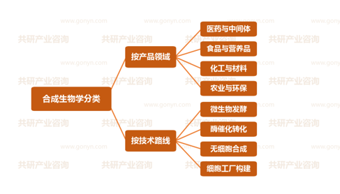 合成生物学行业分类