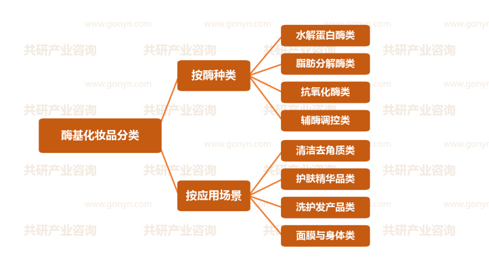 酶基化妆品分类
