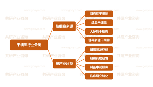 干细胞行业分类