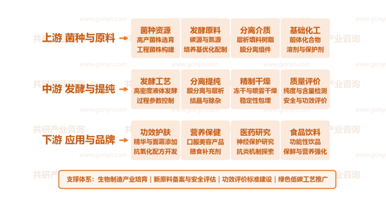 中国麦角硫因产业链示意图