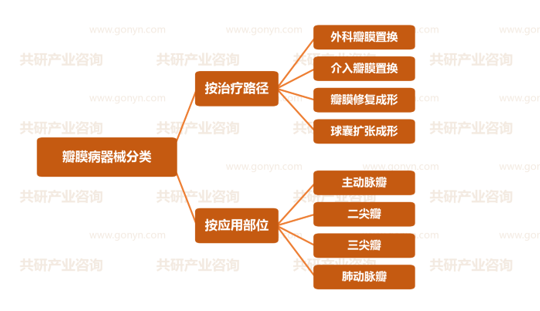 瓣膜性心脏病医疗器械分类