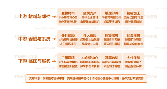中国瓣膜性心脏病医疗器械产业链示意图